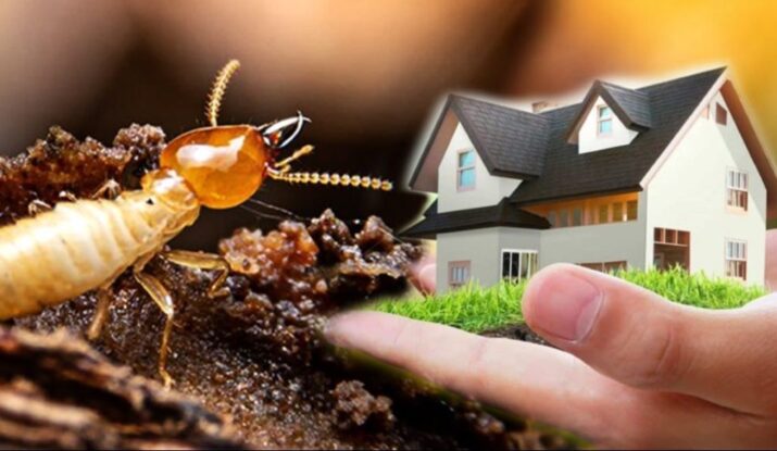 Residential Pest Control