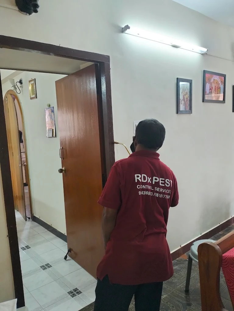 Termite & Rodent Control